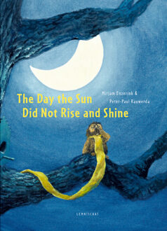 Sun The Day the Sun Didn't Rise and Shine - Boek Mirjam Enzerink (1788070208)