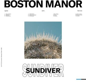 Sundiver - Boston Manor
