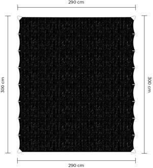 Sunfighter Wavesail zwart 2,9x3m.