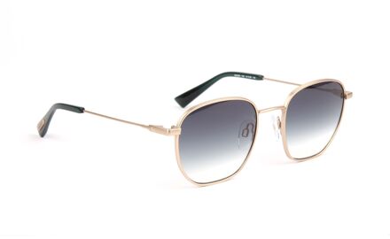 Sunglasses BG3358 04A 51 Goud - One Size