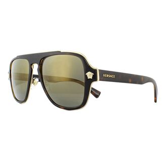 Sunglasses Bruin - 56