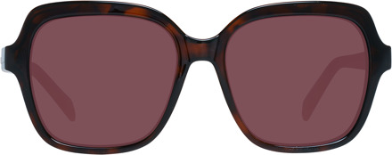 Sunglasses KM5048 102 55 Bruin