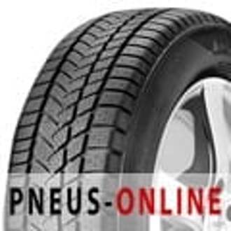 Sunny Banden Sunny Wintermax NW211 ( 245/40 R20 99V XL ) zwart