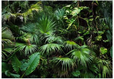 Sunny Jungle Vlies Fotobehang 250x175cm