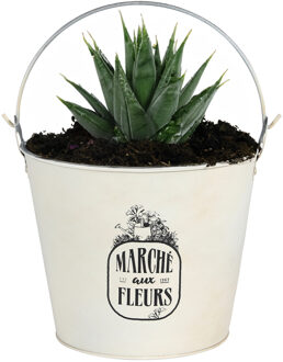 Sunnydays Plantenpot/bloempot emmer voor buiten - zink - ivoorwit - D24 x H19 cm