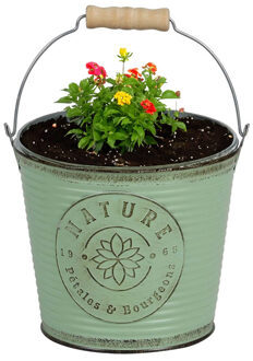 Sunnydays Plantenpot/bloempot emmer voor buiten - zink - jadegroen - D17 x H14 cm