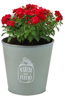 Sunnydays Plantenpot/bloempot emmer voor buiten - zink - jadegroen - D23 x H22 cm