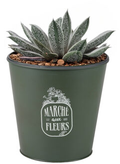 Sunnydays Plantenpot/bloempot emmer voor buiten - zink - legergroen - D23 x H22 cm