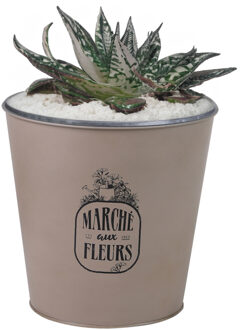 Sunnydays Plantenpot/bloempot emmer voor buiten - zink - taupe - D23 x H22 cm