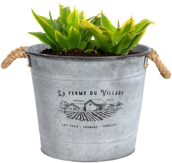Sunnydays Plantenpot/bloempot emmer voor buiten - zink - zilver - D38 x H31 cm