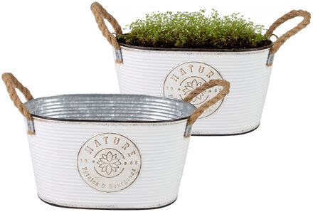 Sunnydays Plantenpot/bloempot teil voor buiten - 2x - zink - ivoorwit - L29 x D18 x H15 cm