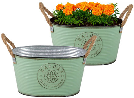 Sunnydays Plantenpot/bloempot teil voor buiten - 2x - zink - jadegroen - L29 x D18 x H15 cm