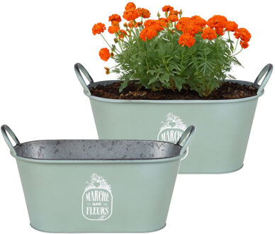Sunnydays Plantenpot/bloempot teil voor buiten - 2x - zink - jadegroen - L39 x B16 x H21 cm
