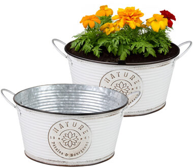Sunnydays Plantenpot/bloempot teil voor buiten - 2x - zink - rond - ivoorwit - D25 x H12 cm