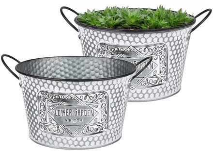 Sunnydays Plantenpot/bloempot teil voor buiten - 2x - zink - zilver - D22 x H12 cm