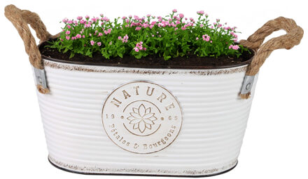 Sunnydays Plantenpot/bloempot teil voor buiten - zink - ivoorwit - L24 x D14 x H12 cm