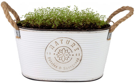 Sunnydays Plantenpot/bloempot teil voor buiten - zink - ivoorwit - L29 x D18 x H15 cm