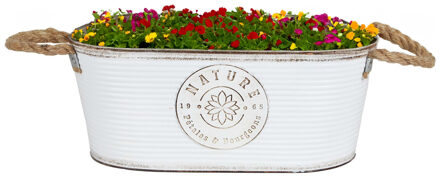 Sunnydays Plantenpot/bloempot teil voor buiten - zink - ivoorwit - L35 x D19 x H14 cm
