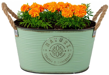 Sunnydays Plantenpot/bloempot teil voor buiten - zink - jadegroen - L29 x D18 x H15 cm