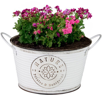 Sunnydays Plantenpot/bloempot teil voor buiten - zink - rond - ivoorwit - D22 x H12 cm