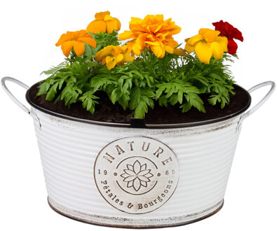 Sunnydays Plantenpot/bloempot teil voor buiten - zink - rond - ivoorwit - D25 x H12 cm