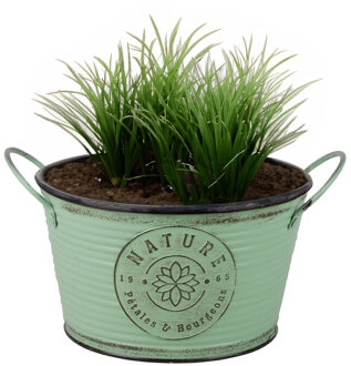 Sunnydays Plantenpot/bloempot teil voor buiten - zink - rond - jadegroen - D22 x H12 cm
