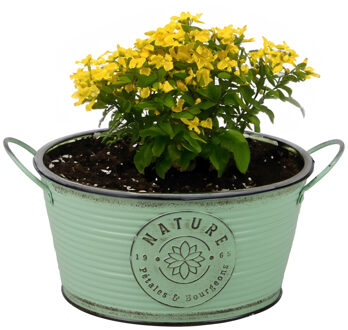 Sunnydays Plantenpot/bloempot teil voor buiten - zink - rond - jadegroen - D25 x H12 cm