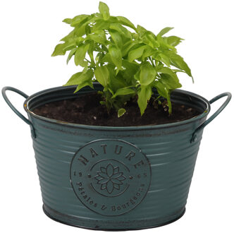 Sunnydays Plantenpot/bloempot teil voor buiten - zink - rond - petrolblauw - D22 x H12 cm
