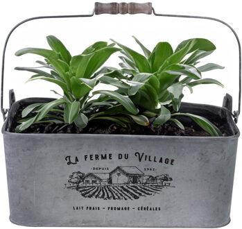 Sunnydays Plantenpot/bloempot teil voor buiten - zink - zilver - L37 x D24 x H14 cm