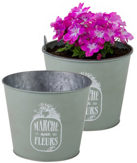 Sunnydays Plantenpot/bloempot voor buiten - 2x - zink - jadegroen - D17 x H14 cm