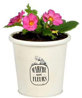 Sunnydays Plantenpot/bloempot voor buiten - zink - ivoorwit - D14 x H13 cm