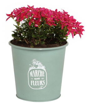 Sunnydays Plantenpot/bloempot voor buiten - zink - jadegroen - D14 x H13 cm
