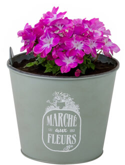 Sunnydays Plantenpot/bloempot voor buiten - zink - jadegroen - D17 x H14 cm