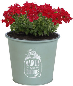 Sunnydays Plantenpot/bloempot voor buiten - zink - jadegroen - D19 x H16 cm