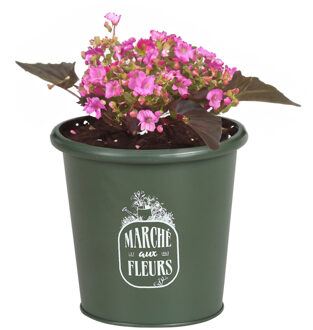 Sunnydays Plantenpot/bloempot voor buiten - zink - legergroen - D14 x H13 cm