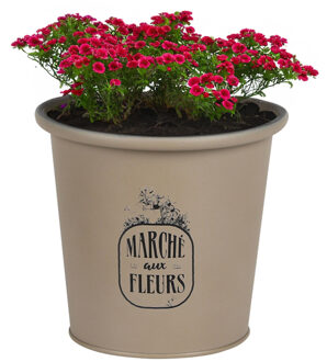 Sunnydays Plantenpot/bloempot voor buiten - zink - taupe - D14 x H13 cm