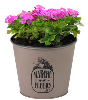 Sunnydays Plantenpot/bloempot voor buiten - zink - taupe - D17 x H14 cm