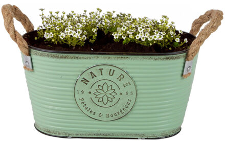 Sunnydays Teil/plantenpot - zink - jadegroen - L24 x D14 x H12 cm