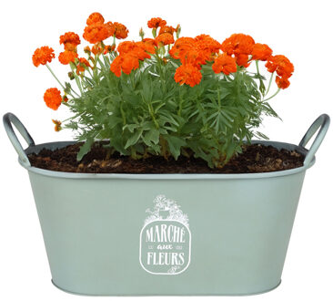 Sunnydays Teil/plantenpot - zink - jadegroen - L39 x B16 x H21 cm