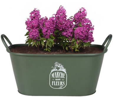 Sunnydays Teil/plantenpot - zink - legergroen - L39 x B16 x H21 cm