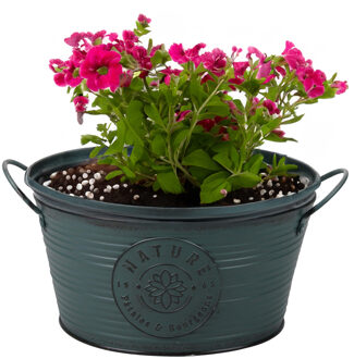 Sunnydays Teil/plantenpot - zink - rond - petrolblauw - D25 x H12 cm