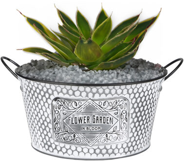 Sunnydays Teil/plantenpot - zink - zilver - D25.5 x H12 cm