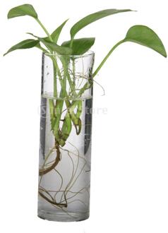 Suntek Cilinder Clear Glazen Muur Opknoping Vaas Fles Voor Plant Bloem Decoraties