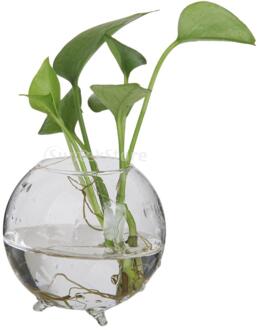 Suntek Glas Bloem Hydrocultuur Vaas Micro Landschap Diy Fles Terrarium Container