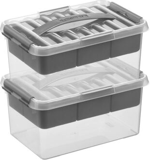 SunWare 2x Opberg boxen/opbergdozen tray 6 liter 30 x 20 x 14 cm