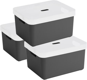 SunWare 3x Sunware opbergbox/mand 32 liter antraciet grijs kunststof met transparante deksel