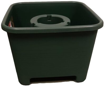 SunWare Kerstboom standaard voor een Fijnspar kerstboom Groen