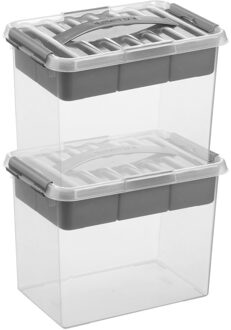 SunWare Opberg box/opbergdoos met vakverdeling - 2x - tray 9 liter - transparant/zilver - 30 x 20 x 22 cm