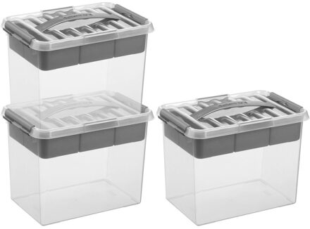 SunWare Opberg box/opbergdoos met vakverdeling - 3x - tray 9 liter - transparant/zilver - 30 x 20 x 22 cm