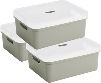 SunWare opbergbox - 3x stuks - 24 liter - lichtgroen - kunststof - transparante deksel - 45x35x18 cm